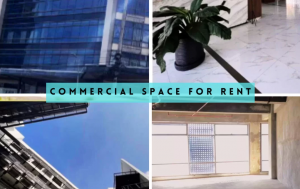 Commercial Space in The Grid